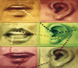 fonoaudiologa-no-Mandaqui